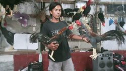 Asal Indramayu, Pengrajin Boneka Ayam Zayol Tembus Pasar Internasional