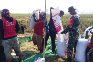 Pendampingan Pengolahan Lahan Sawah oleh Koramil 1605/Sukagumiwang Dukung Percepatan Masa Tanam