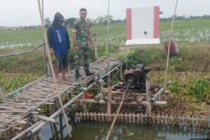 Koramil 1602 Sindang Berkomitmen Tingkatkan Produktivitas Pertanian melalui Giat Pendampingan Pompanisasi