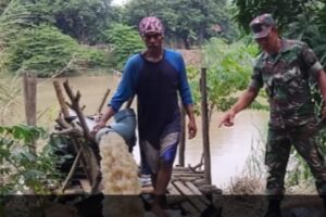 Koramil 1602 Sindang Dampingi Pompanisasi untuk Dukung Ketahanan Pangan Nasional