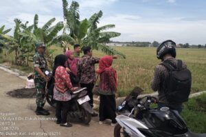 Peran Strategis Koramil dalam Mendukung Pembangunan Infrastruktur Pertanian di Indramayu