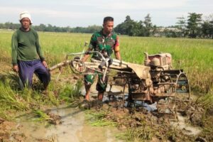 KORAMIL 1605 SUKAGUMIWANG LAKSANAKAN MONITOR PENDAMPINGAN PENGOLAHAN LAHAN SAWAH