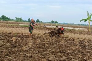KORAMIL 1609 JUNTINYUAT MONITOR OLAH LAHAN MUSIM TANAM PERTAMA DI SEGERAN KIDUL