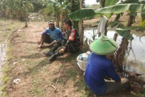 Koramil 1605/Sukagumiwang Dampingi Pengolahan Lahan Sawah untuk Percepatan Masa Tanam Musim Rendeng 2024