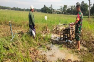 Koramil 0616-05/Sukagumiwang: Peran TNI dalam Mendukung Ketahanan Pangan Melalui Pendampingan Petani