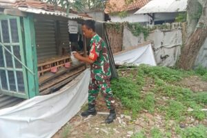 Koramil 1609/Juntinyuat Dorong Ketahanan Pangan Melalui Budidaya Ayam Petelur