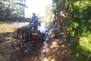 Koramil 0616-05/Sukagumiwang Aktif Dampingi Pengolahan Lahan Sawah di Kertasmaya